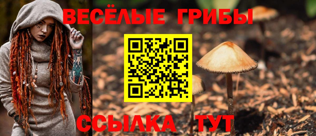 Галлюциногенные грибы Psilocybine cubensis Горячий Ключ