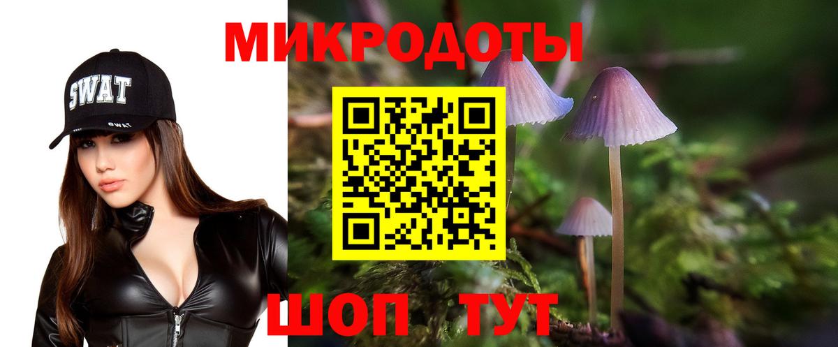 Галлюциногенные грибы прущие грибы  Галлюциногенные грибы мицелий  Вход с VPN  Горячий Ключ 